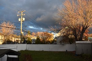 DSC_1033