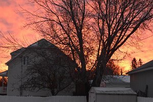DSC_1039