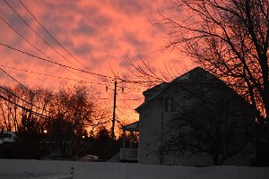 DSC_1040
