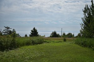 DSC_1060