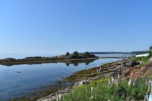 DSC_1073