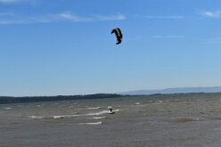DSC_1271