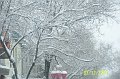 100_1827