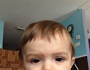 IMG 0214