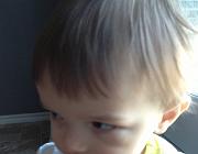 IMG 0305